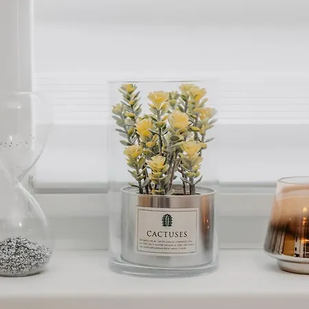 Stan Na Dan Flora *