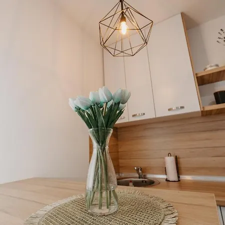 Apartment Stan Na Dan Flora